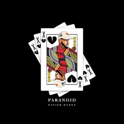 Paranoid (Radio Edit) Song Lyrics