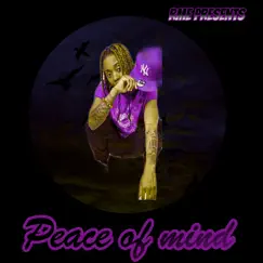 Peace of Mind - Single by LilBrino album reviews, ratings, credits
