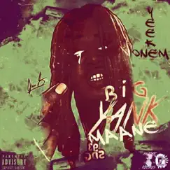 YeekOnem by BiG YanK Maane album reviews, ratings, credits