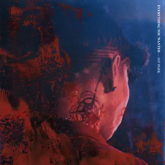 EVERYTHING YOU WANTED by Jay Park album download