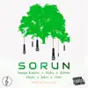 Sorun (Protest Mix) (Remix) [Remix] - Single album lyrics, reviews, download