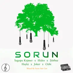Sorun (Protest Mix) (Remix) [Remix] - Single by Sezer Sait Can album reviews, ratings, credits