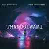 Thandolwami - Single album lyrics, reviews, download