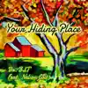 Your Hiding Place (feat. Nelson Colt) - Single album lyrics, reviews, download
