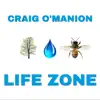 Life Zone - Single album lyrics, reviews, download