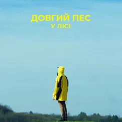 У лісі Song Lyrics