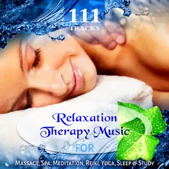 Download Holistic and Wellness Spa Music Consort MP3
