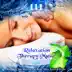 111 Tracks: Over Five Hours Relaxation Therapy Music for Massage, Spa, Meditation, Reiki, Yoga, Sleep and Study, Zen New Age & Healing Nature Sounds album cover