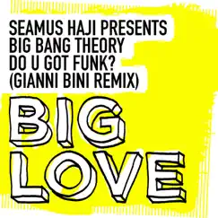 Do U Got Funk? (Gianni Bini Remix) [Seamus Haji Presents] Song Lyrics