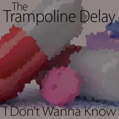 I Don't Wanna Know - Single by The Trampoline Delay album reviews, ratings, credits