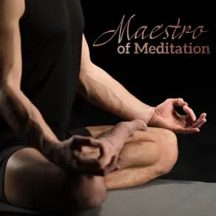Maestro of Meditation – Mindfulness Meditation, Yoga, Healing Chakra, Inner Peace, Calming Nature Sounds, Zen Ambient, Relaxing Tracks for Meditation by Relaxation Meditation Songs Divine & Meditation Music Zone album reviews, ratings, credits