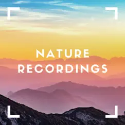 Mountain Whitenoise - Single by Nature Recordings album reviews, ratings, credits