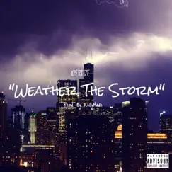 Weather the Storm - Single by Xpertize album reviews, ratings, credits