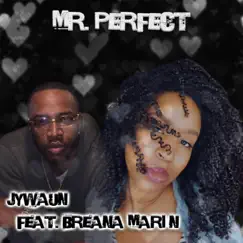 Mr. Perfect (feat. Breana Marin) Song Lyrics