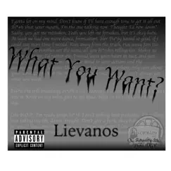 What You Want? - Single by Lievanos album reviews, ratings, credits