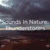 !!!" Sounds in Nature: Thunderstorms "!!! album lyrics, reviews, download