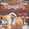 DumbAss (feat. Shawn Eff & Ally Cocaine) - Single album lyrics, reviews, download