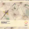 Tulum - EP album lyrics, reviews, download