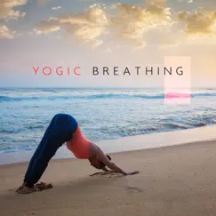 Yogic Breathing: Relieve Stress with Deep Relaxation, Meditation Music for Healing Body, Mind and Soul by Various Artists album reviews, ratings, credits