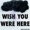 Wish You Were Here - Single album lyrics, reviews, download