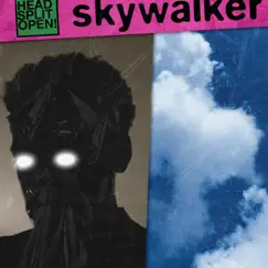 Skywalker Pack - Single by HEADSPLITOPEN! album reviews, ratings, credits