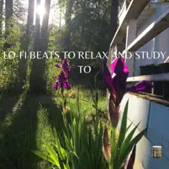 Lo-fi Beats To Relax and Study To, Vol. 12 by Wood Grain Cafe album reviews, ratings, credits