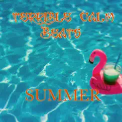 Summer - Single by Terrible Calm album reviews, ratings, credits