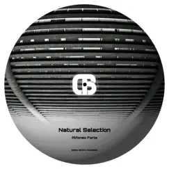 Natural Selection - Single by Alfonso Forte album reviews, ratings, credits