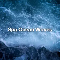 Spa Ocean Waves by Sea Sounds Channel album reviews, ratings, credits