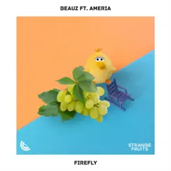 Firefly - Single by BEAUZ & Ameria album reviews, ratings, credits