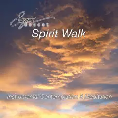 Spirit Walk - Single by Suzanne Doucet album reviews, ratings, credits