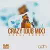 Crazy (Dub Mix) - Single album lyrics, reviews, download