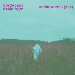 Coffin Worms (feat. cørdyceps) [Remix] Song Lyrics