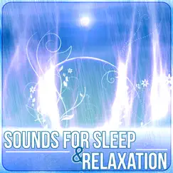 Sleep Relaxation Song Lyrics