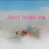 Don't Wake Me - Single album lyrics, reviews, download
