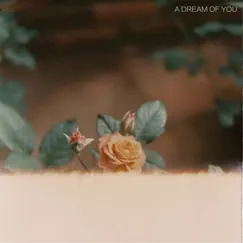 A Dream of You - Single by Far Caspian album reviews, ratings, credits