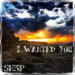 I Wanted You (Extended Mix) Song Lyrics