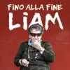 Fino Alla Fine - Single album lyrics, reviews, download