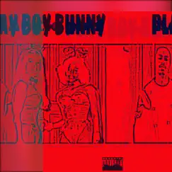 Play Boy Bunny - Single by Nate Supreme album reviews, ratings, credits