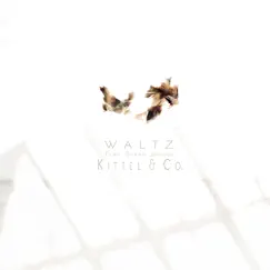 Waltz (feat. Sarah Jarosz, Josh Pinkham, Nathaniel Smith, Quinn Bachand & Simon Chrisman) - Single by Kittel & Co. & Jeremy Kittel album reviews, ratings, credits