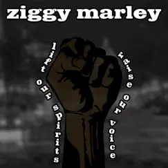 Lift Our Spirits, Raise Our Voice - Single by Ziggy Marley album reviews, ratings, credits