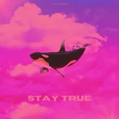 Stay True - Single by UV Raves album reviews, ratings, credits
