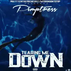 Tearing Me Down - Single by Pimptress album reviews, ratings, credits