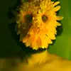 I Love Life (Tropical Sunflower Man Remix) - Single album lyrics, reviews, download