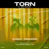 Torn (Jamie Nugent Remix) [feat. Sam Welch] - Single album lyrics, reviews, download