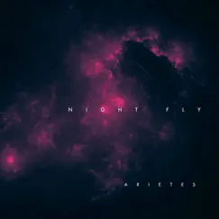 Night Fly - Single by Arietes album reviews, ratings, credits