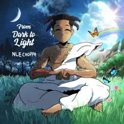 From Dark to Light by NLE Choppa album reviews, ratings, credits
