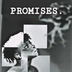 Promises. (feat. Camel) - Single by Stormy album reviews, ratings, credits