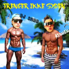 Trenger Ikke Syden (With DJ Sarv) [with DJ Sarv] Song Lyrics