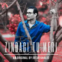 Zindagi Tu Meri - Single by Irfan Khalid album reviews, ratings, credits